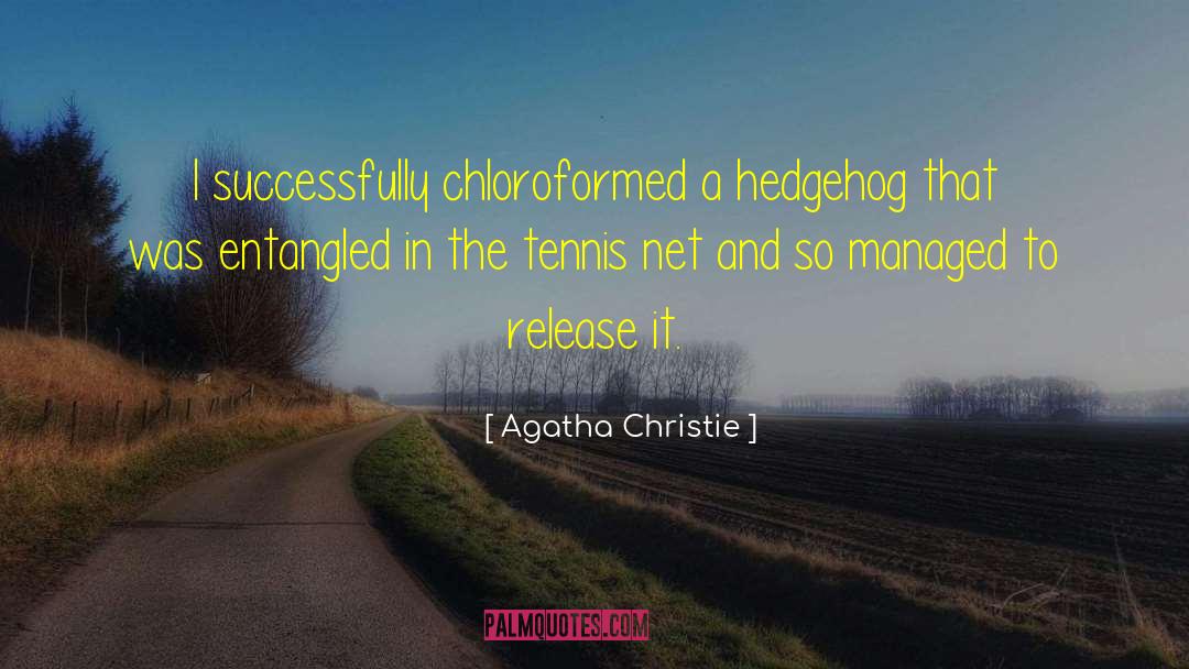 Hedgehog quotes by Agatha Christie