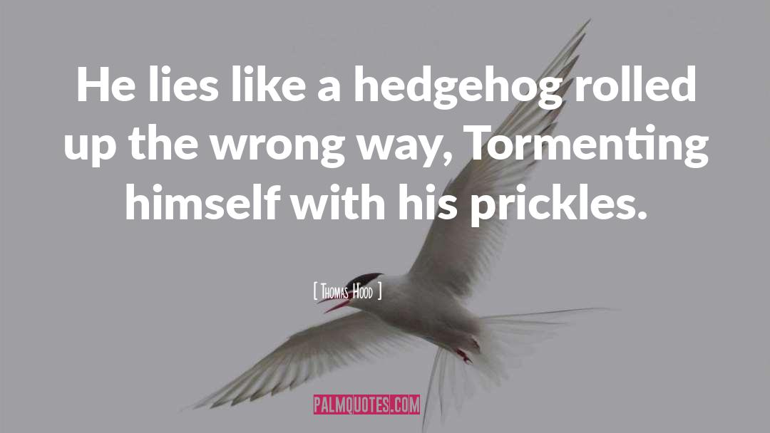 Hedgehog quotes by Thomas Hood