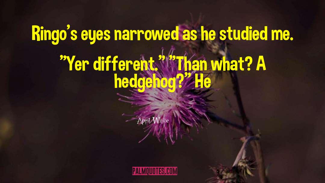 Hedgehog quotes by April White