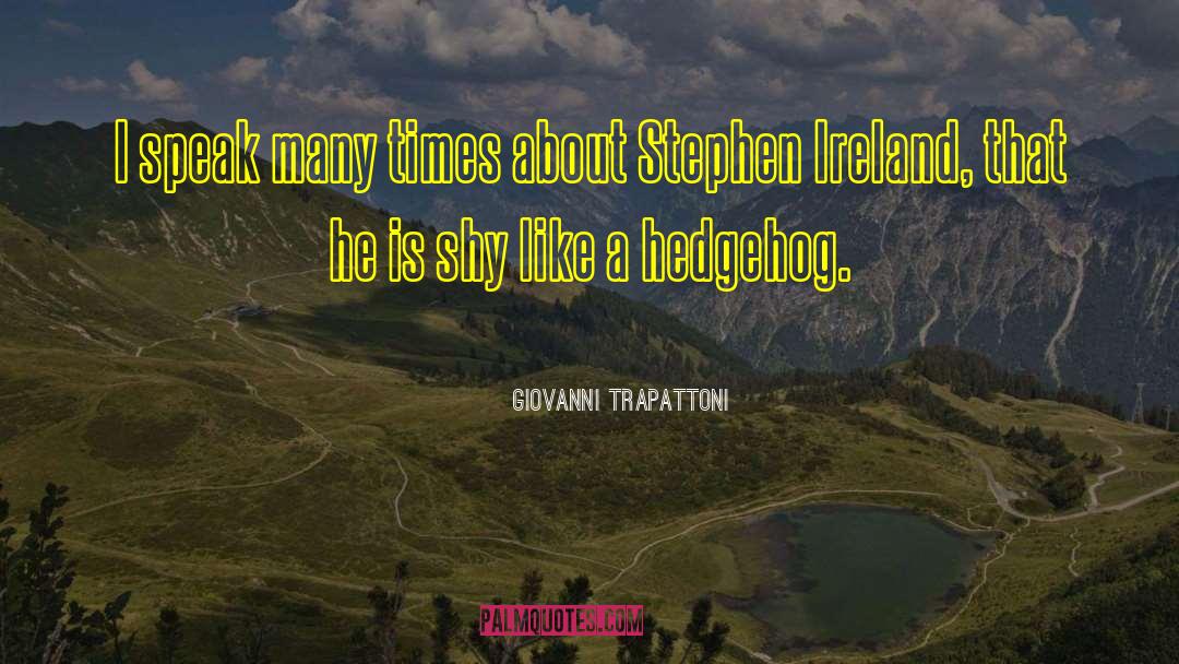 Hedgehog quotes by Giovanni Trapattoni
