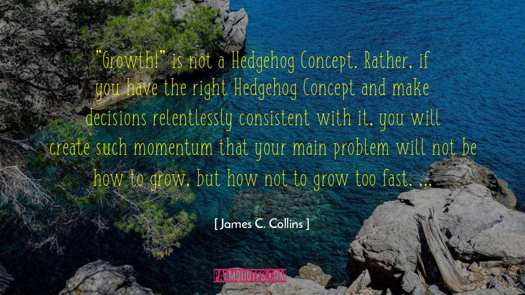 Hedgehogs quotes by James C. Collins