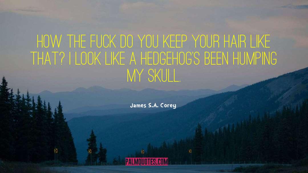 Hedgehogs quotes by James S.A. Corey
