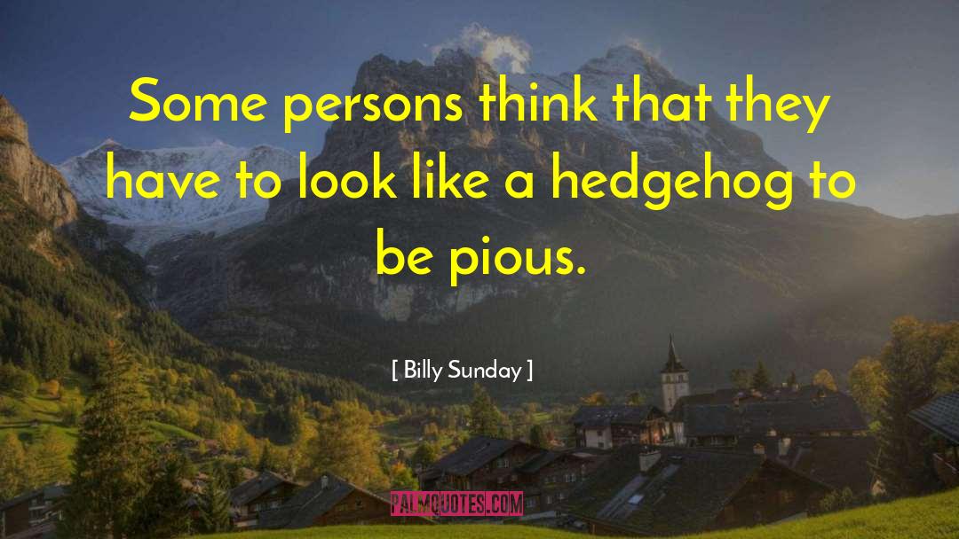 Hedgehogs quotes by Billy Sunday