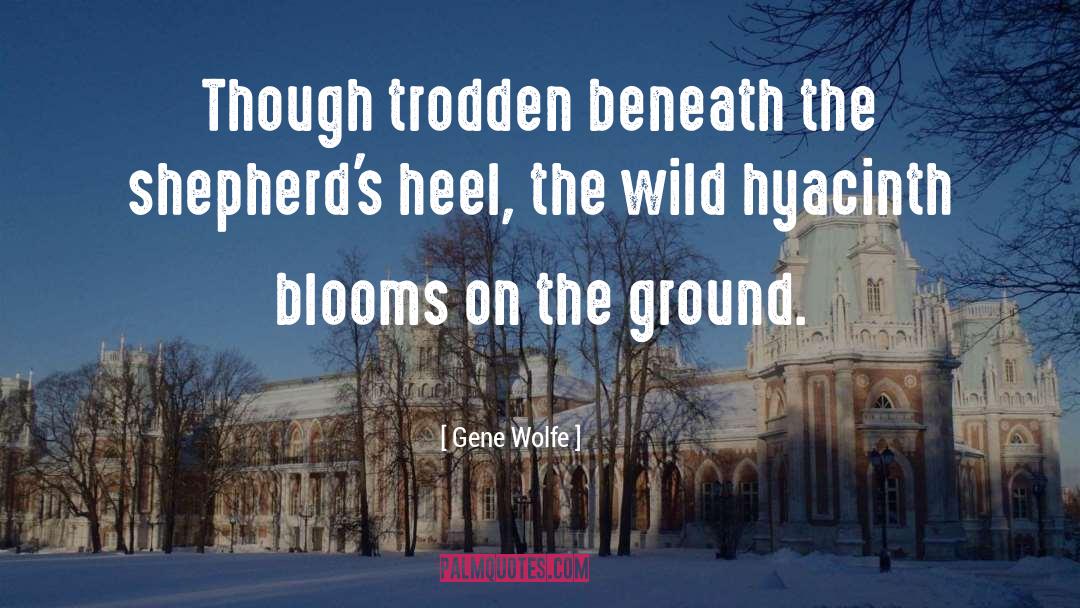 Heel quotes by Gene Wolfe