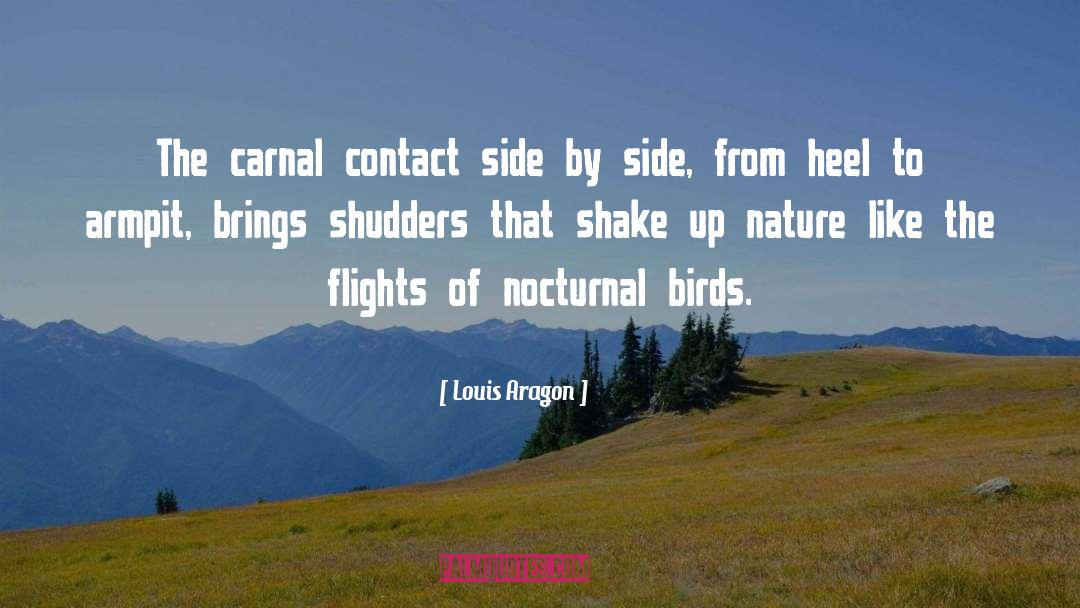 Heel quotes by Louis Aragon