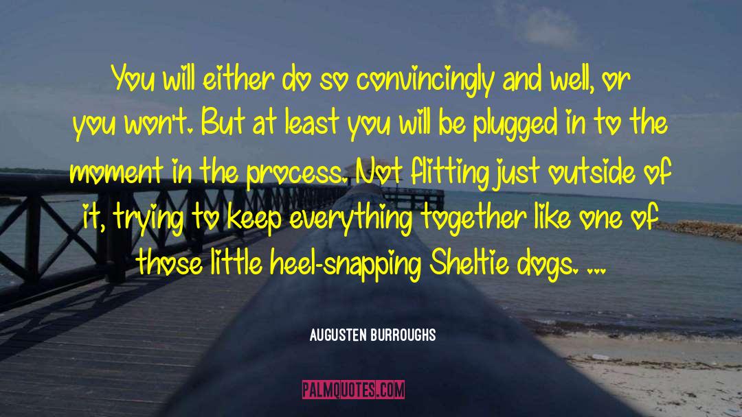 Heel quotes by Augusten Burroughs