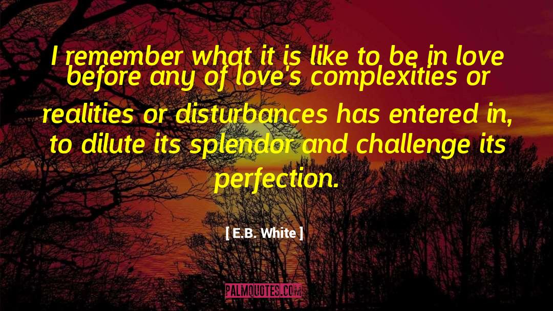 Height Of Perfection quotes by E.B. White