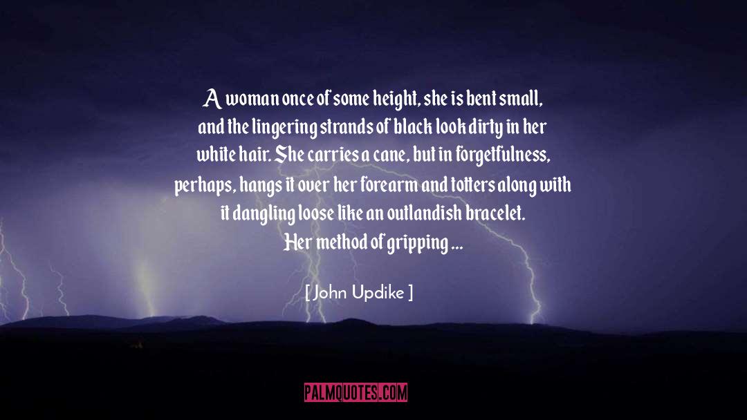 Height quotes by John Updike