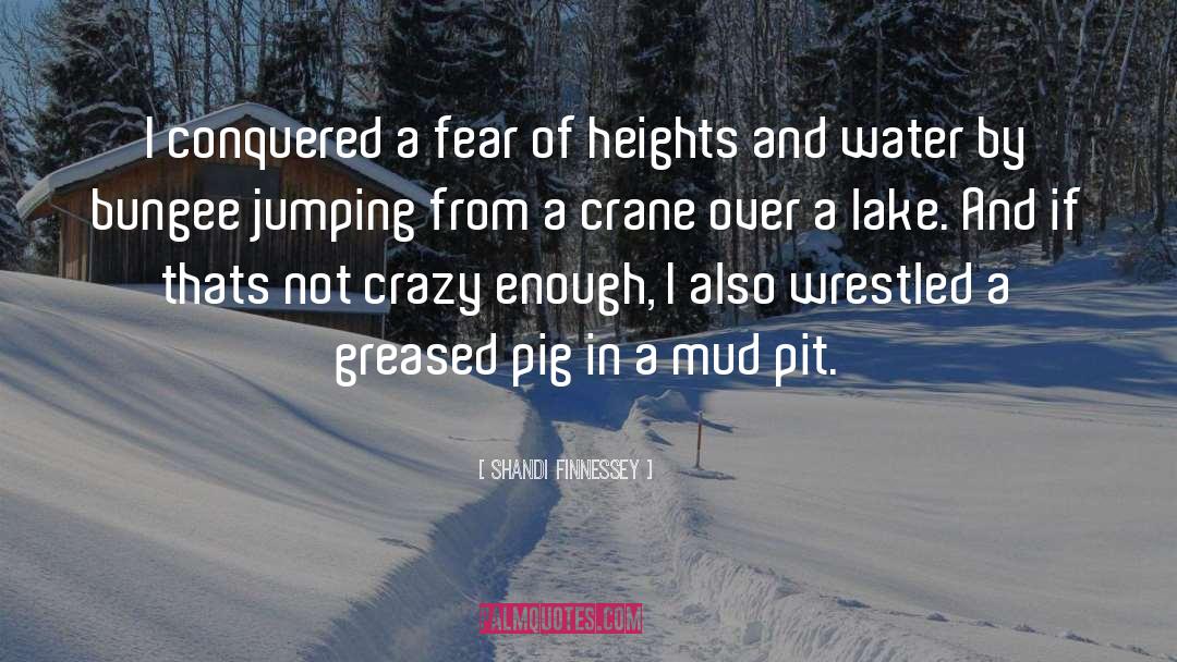 Heights quotes by Shandi Finnessey