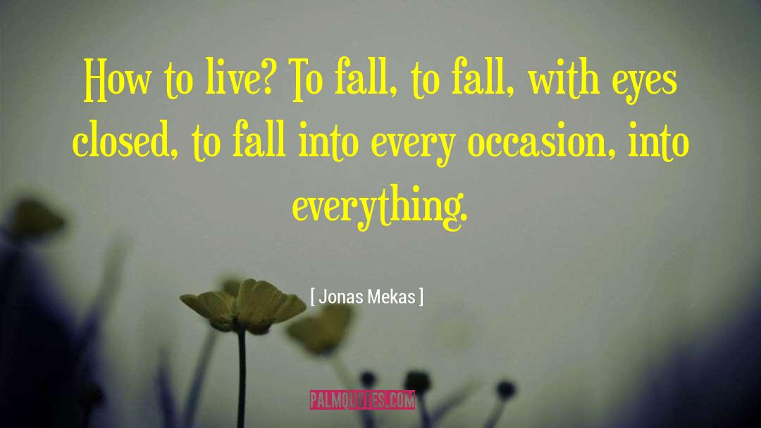 Heilabl Fall quotes by Jonas Mekas