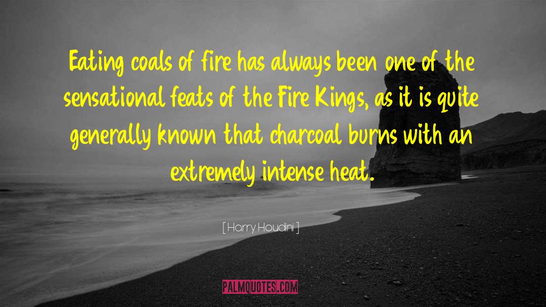 Heir Of Fire quotes by Harry Houdini