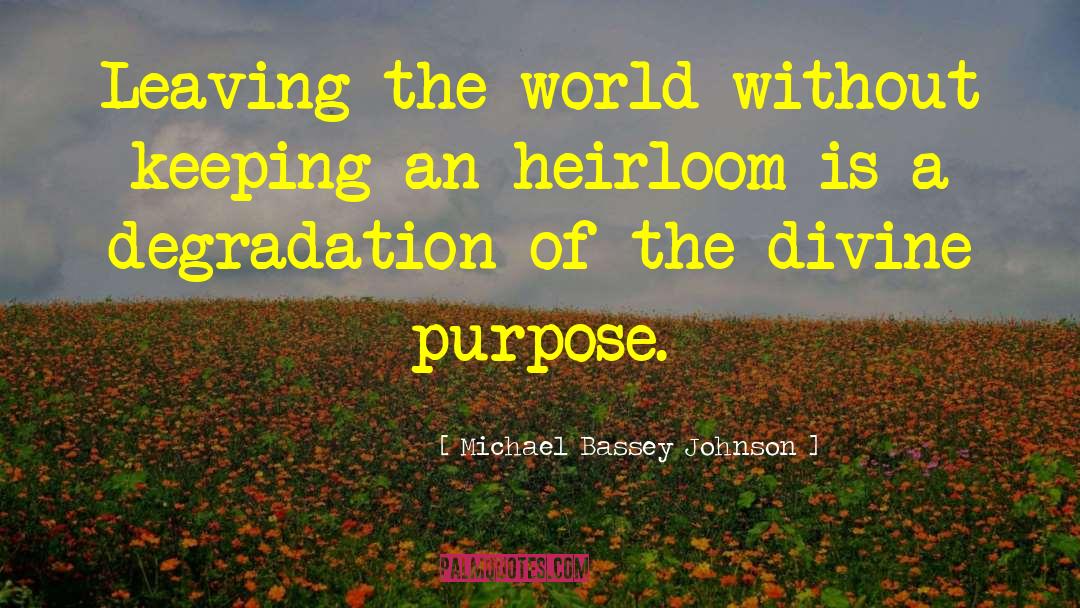Heirloom quotes by Michael Bassey Johnson
