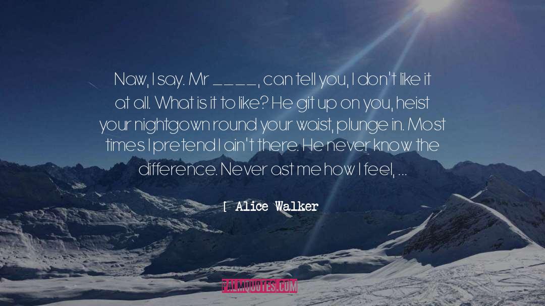 Heist quotes by Alice Walker