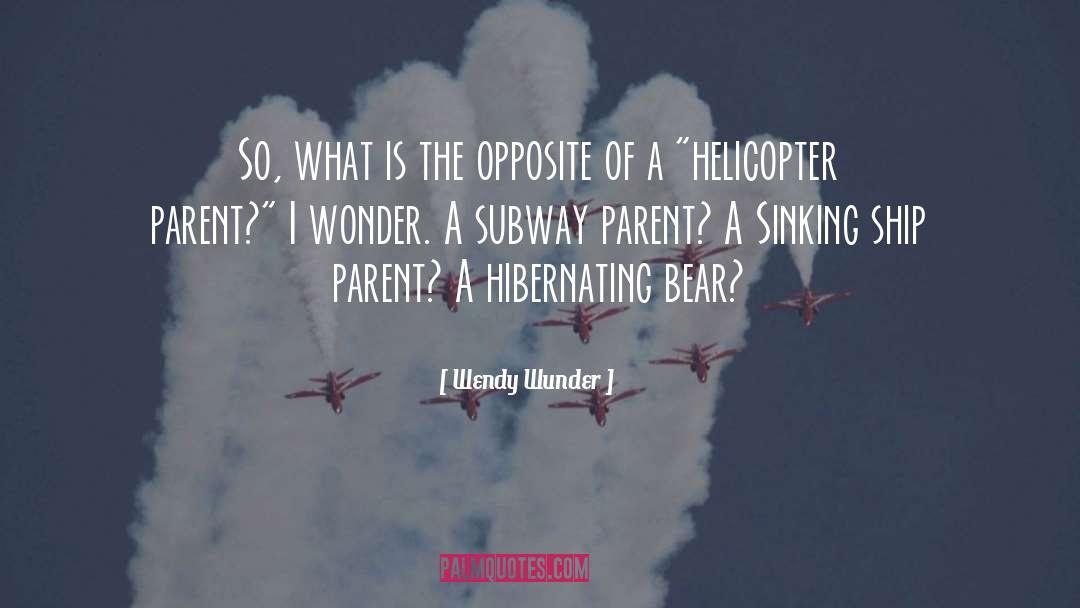 Helicopter quotes by Wendy Wunder