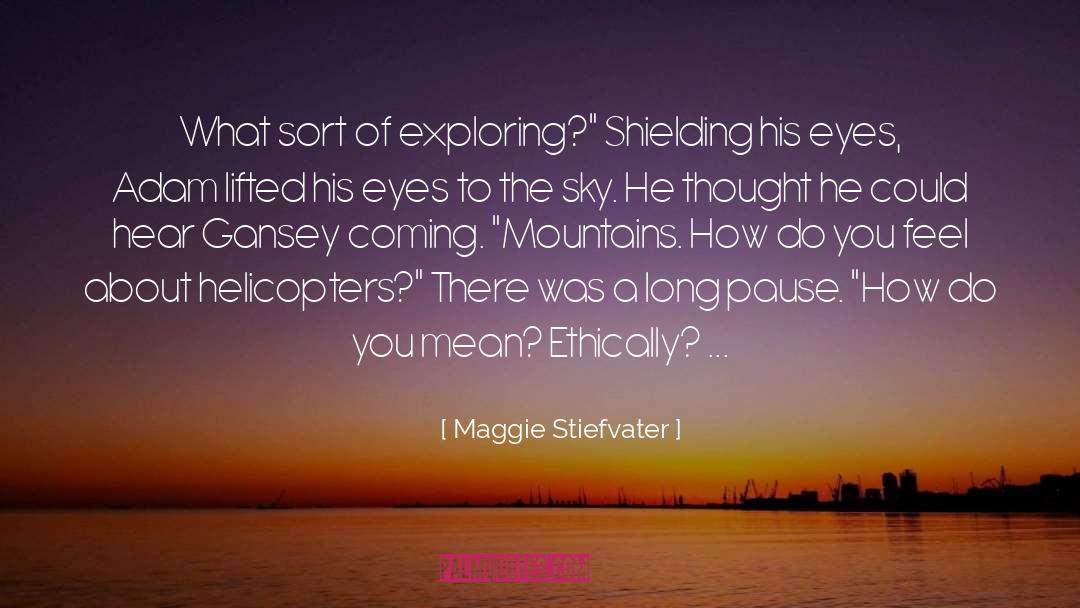 Helicopters quotes by Maggie Stiefvater