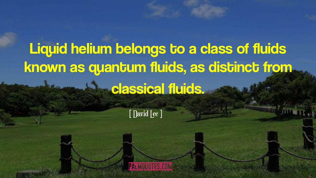 Helium Balloon quotes by David Lee