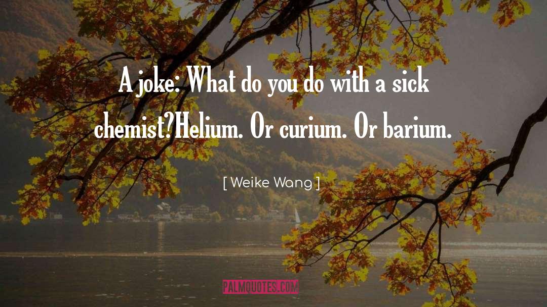 Helium quotes by Weike Wang