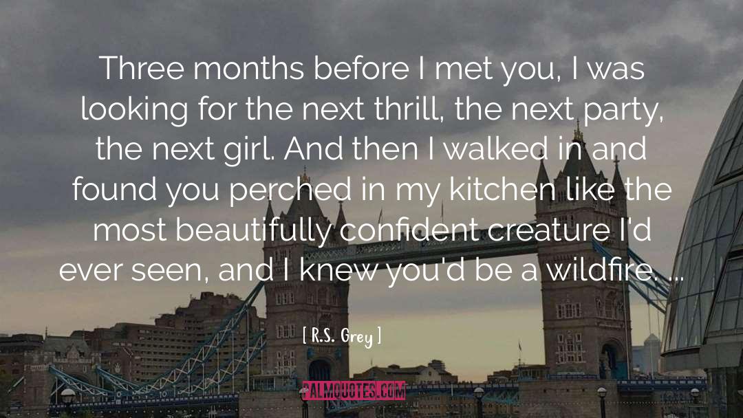 Hell S Kitchen quotes by R.S. Grey