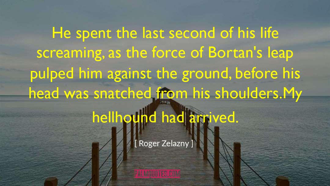 Hellhound quotes by Roger Zelazny