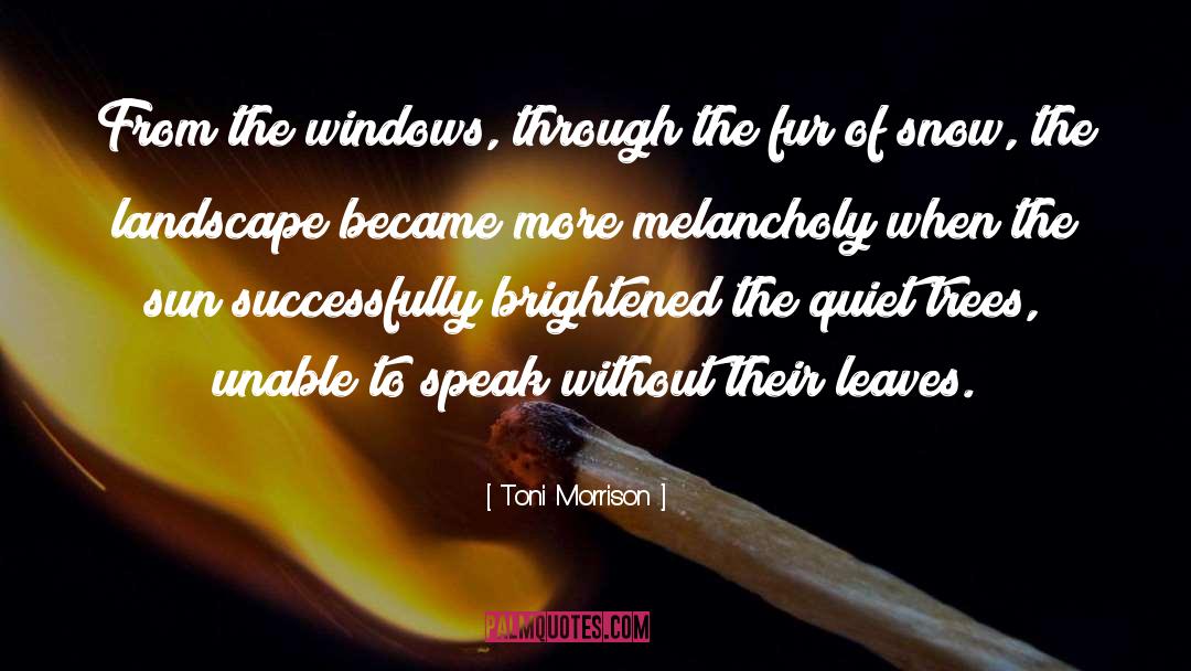 Helligkeit Windows quotes by Toni Morrison