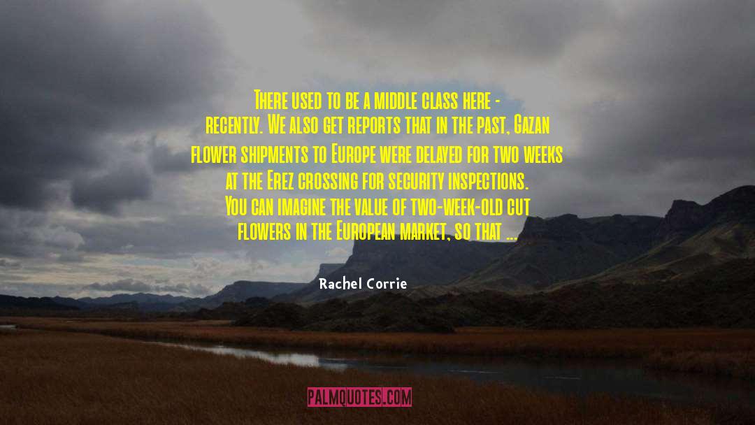 Helliwell Flowers quotes by Rachel Corrie