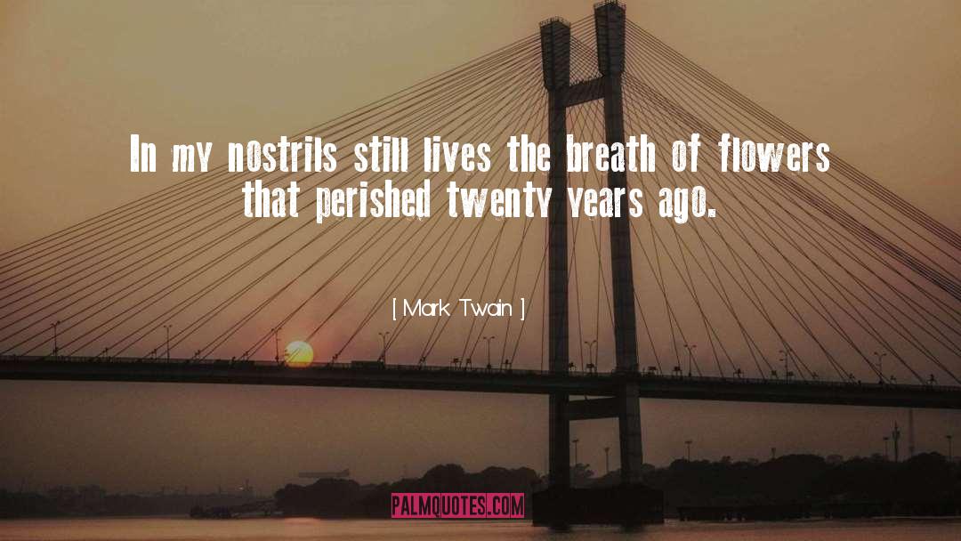 Hello My Twenties quotes by Mark Twain
