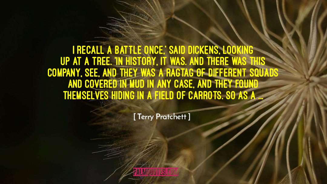 Helmets quotes by Terry Pratchett