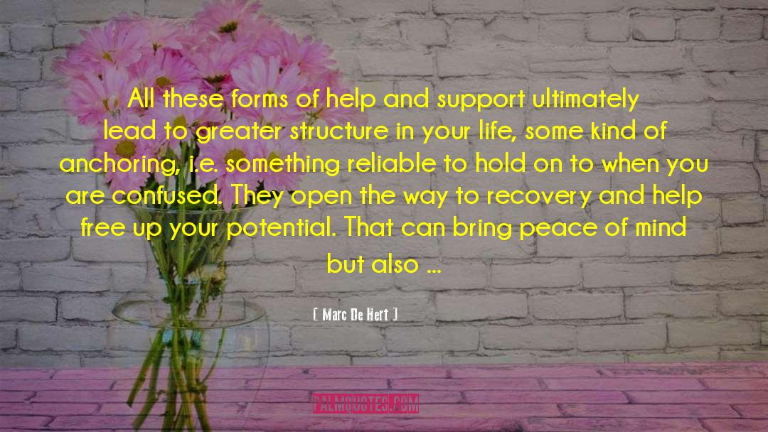 Help And Support quotes by Marc De Hert