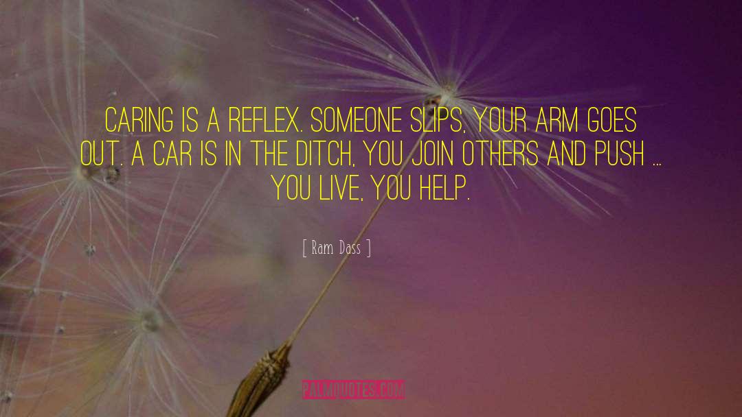 Help Out Others quotes by Ram Dass