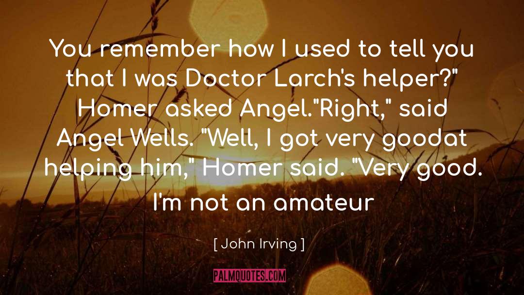 Helper quotes by John Irving