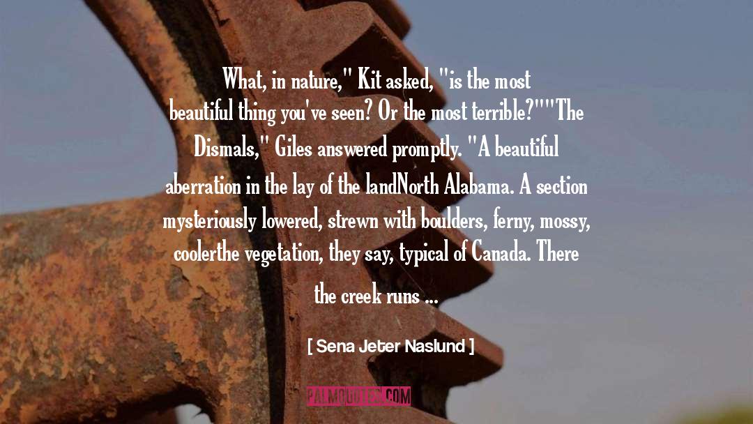 Helpful Nature quotes by Sena Jeter Naslund