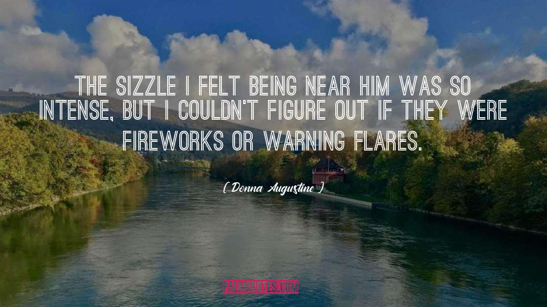 Hemberger Fireworks quotes by Donna Augustine