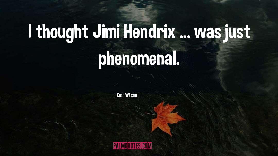 Hendrix quotes by Carl Wilson