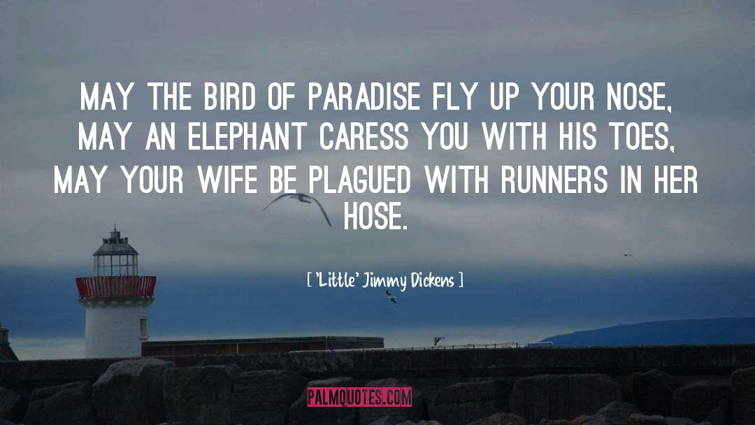 Hendryx Bird quotes by 'Little' Jimmy Dickens