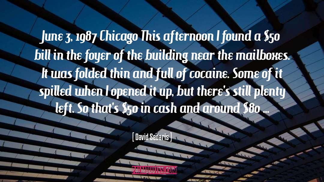 Heneghan Demolition Chicago quotes by David Sedaris