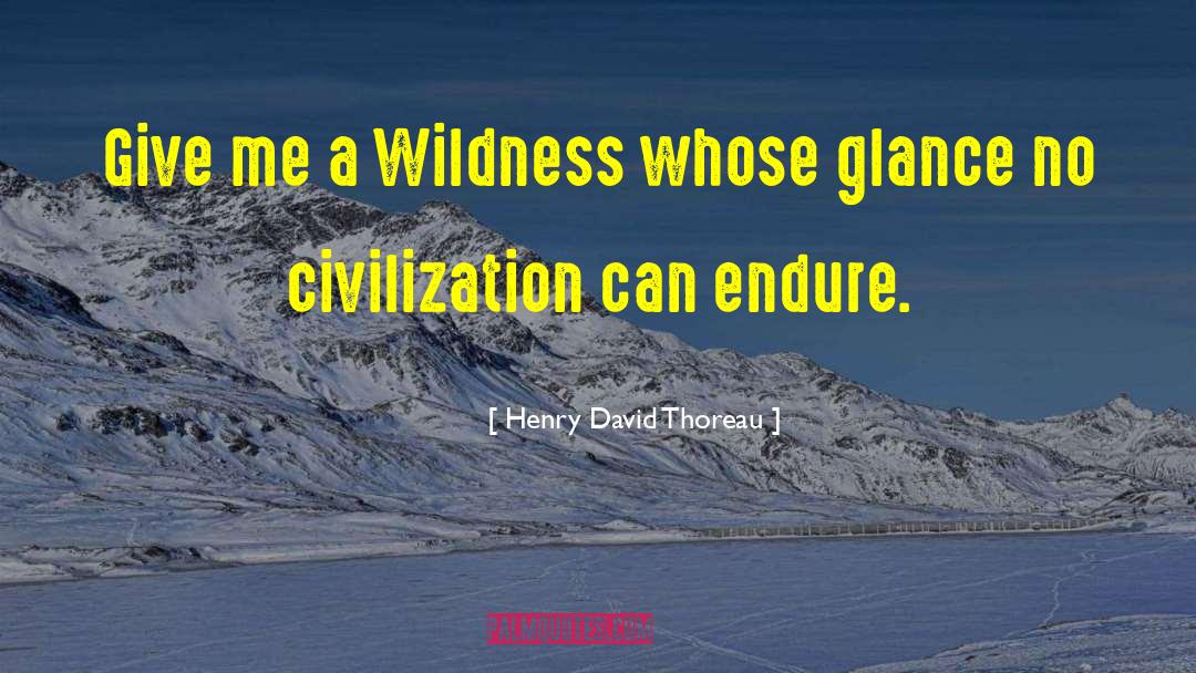 Henry Dubois quotes by Henry David Thoreau