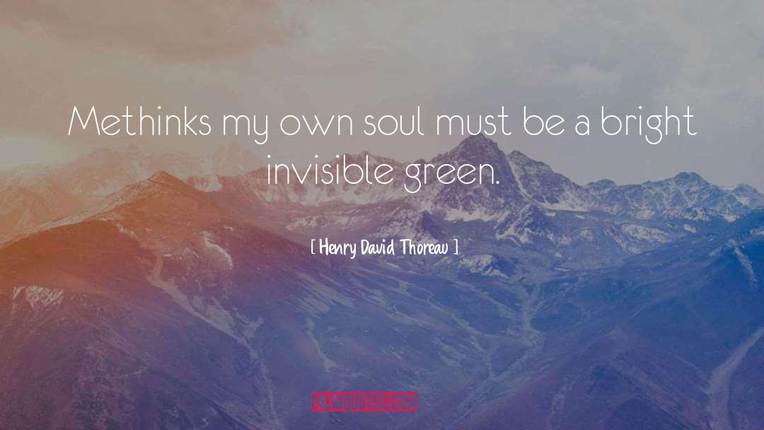 Henry Viii quotes by Henry David Thoreau