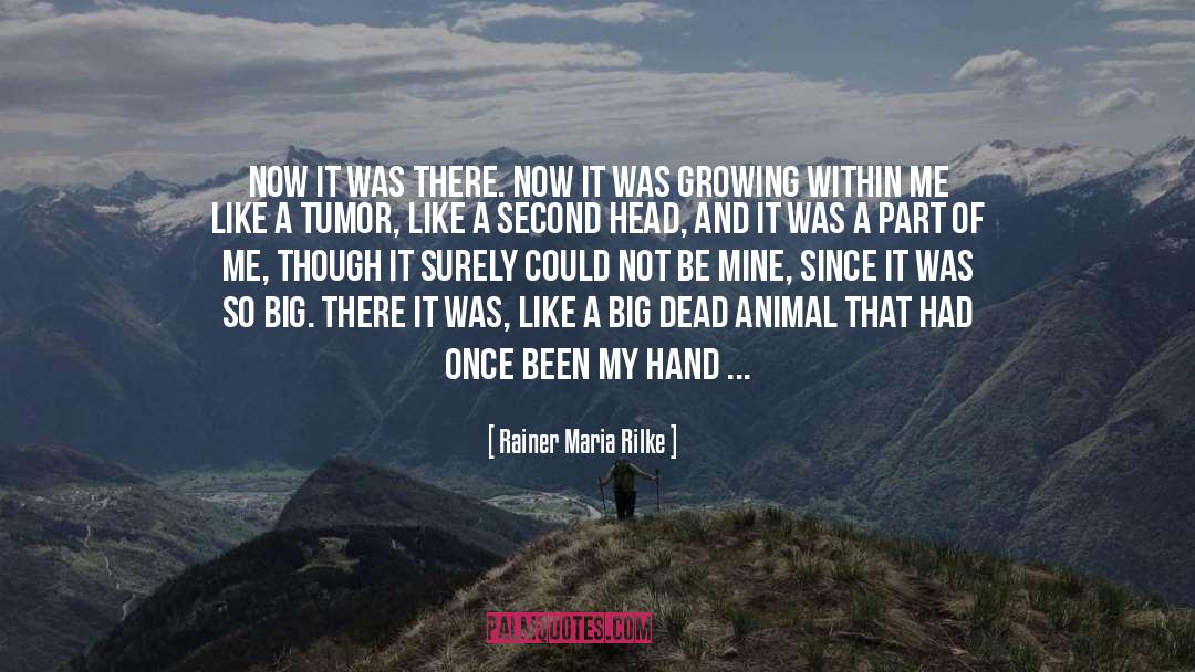 Hepatocarcinoma Tumor quotes by Rainer Maria Rilke