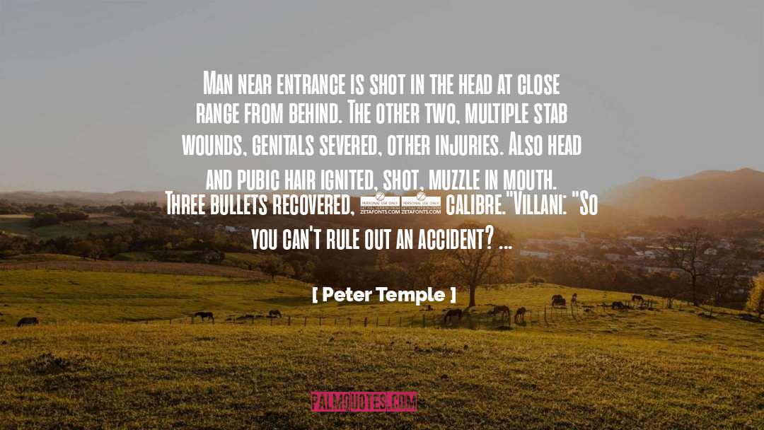 Hephaestion Temple quotes by Peter Temple
