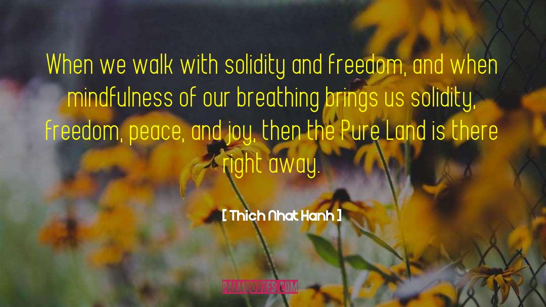Her Freedom quotes by Thich Nhat Hanh