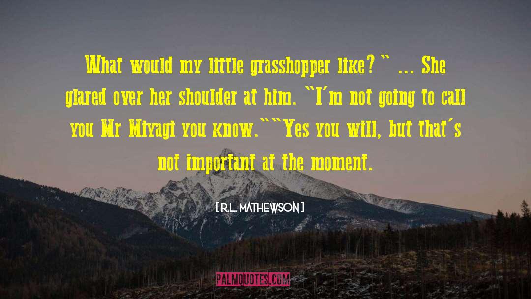 Her Little Bro Stinks quotes by R.L. Mathewson