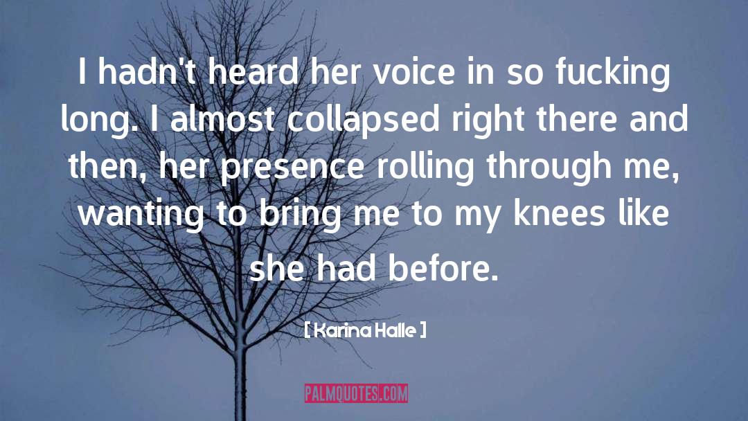 Her Presence quotes by Karina Halle