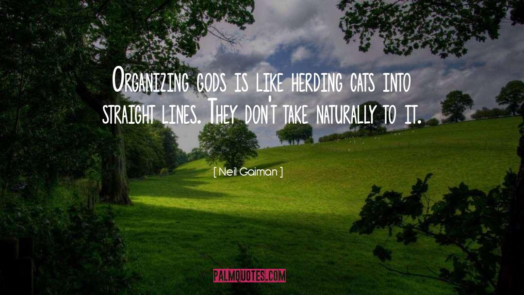 Herding quotes by Neil Gaiman