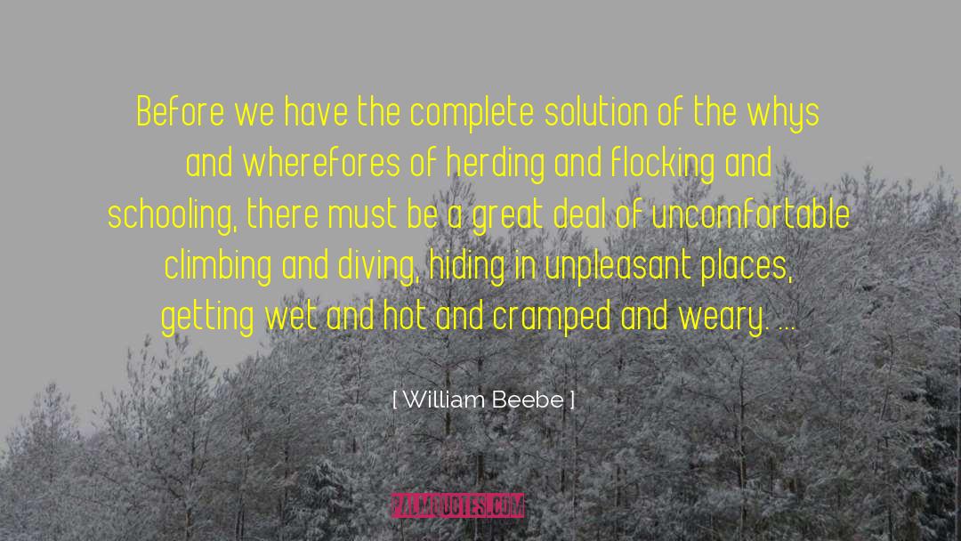 Herding quotes by William Beebe