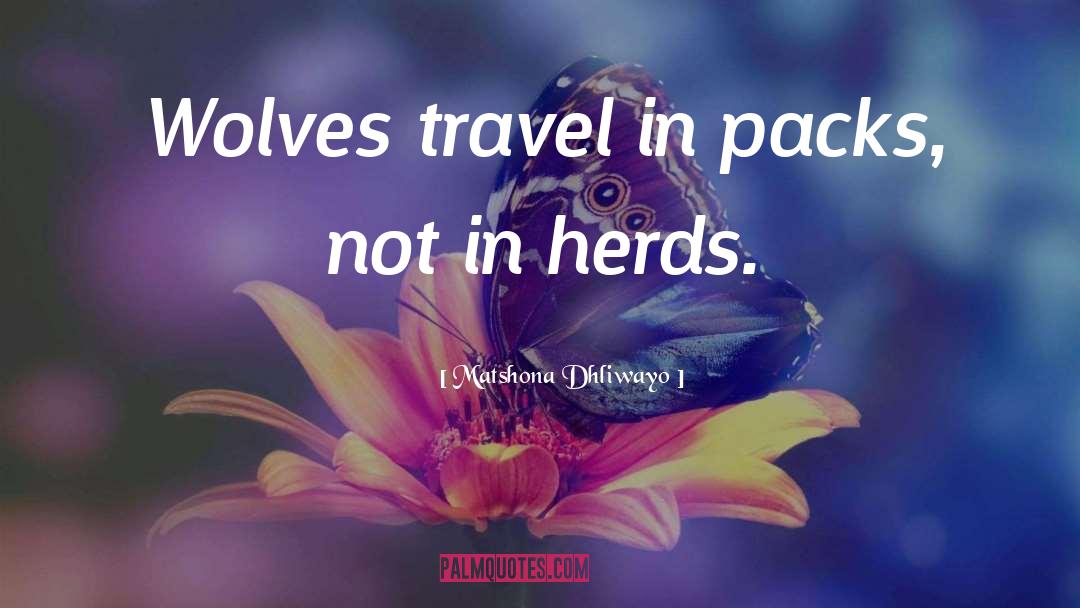 Herds quotes by Matshona Dhliwayo