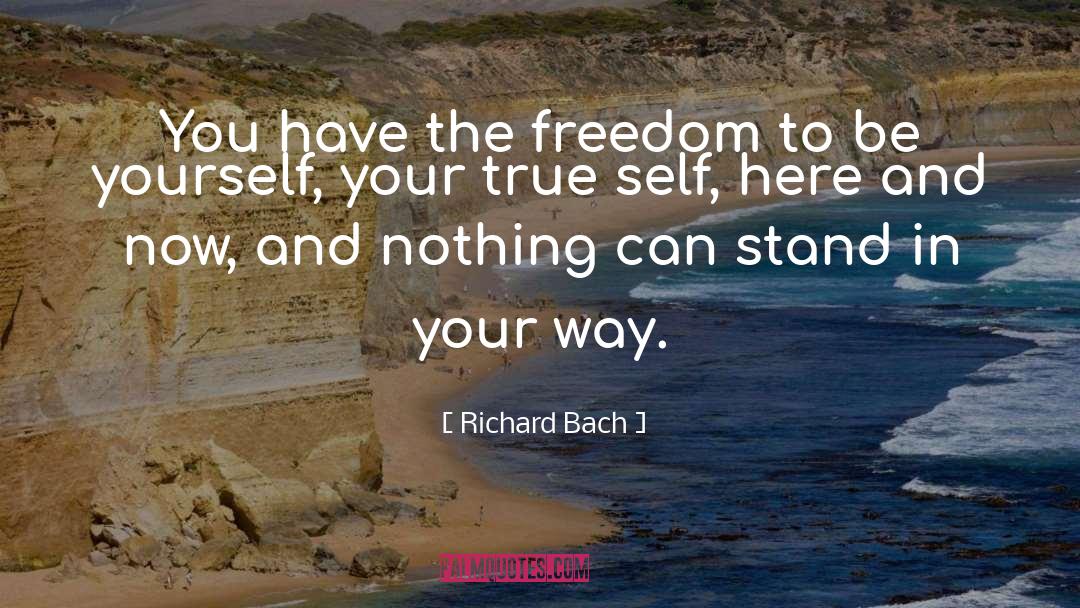Here And Now quotes by Richard Bach