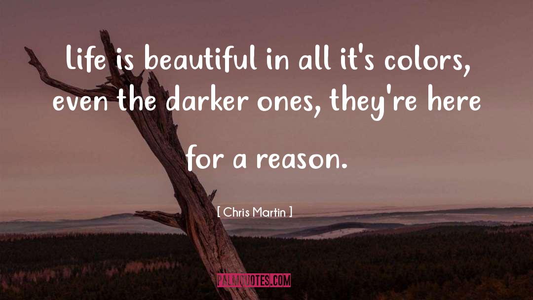 Here For A Reason quotes by Chris Martin