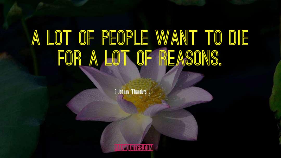 Here For A Reason quotes by Johnny Thunders