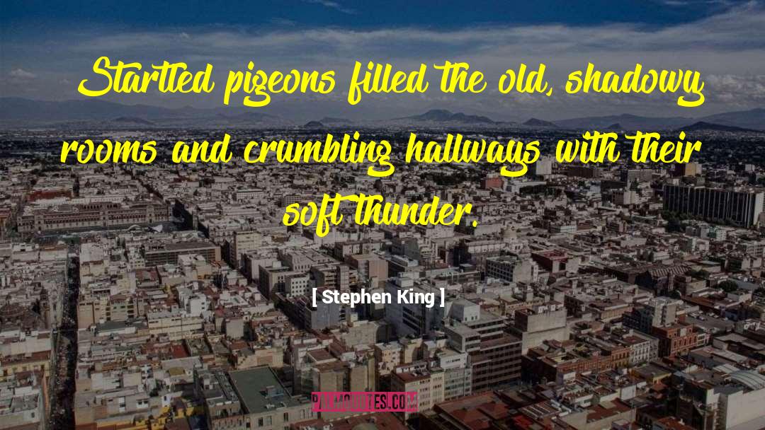 Heremans Pigeons quotes by Stephen King