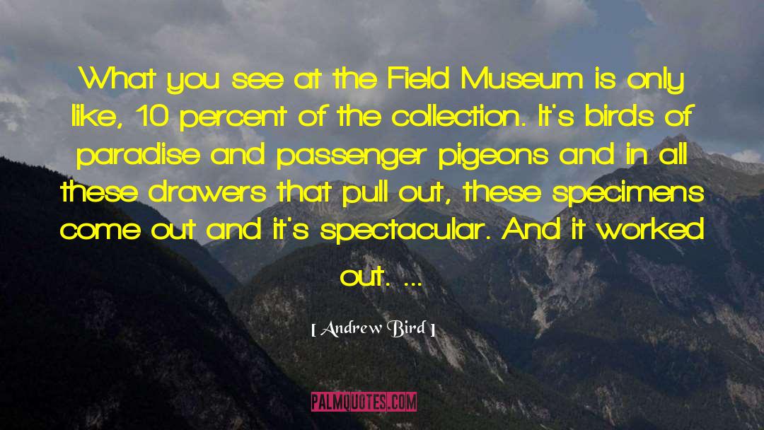 Heremans Pigeons quotes by Andrew Bird